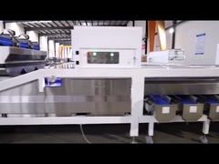 Equipo clasificador de macadamias