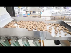 primeras nueces que descascan la cadena de producción en China