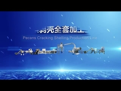 Pacanas inteligentes que se agrietan descascando la cadena de producción