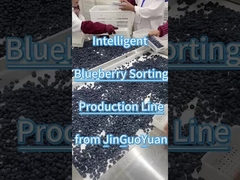 Línea de clasificación de arándanos de JGY