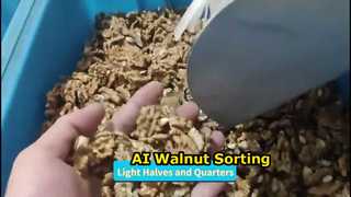 Clasificador de granos de nueces de alta eficiencia: varios grados en una sola pasada
